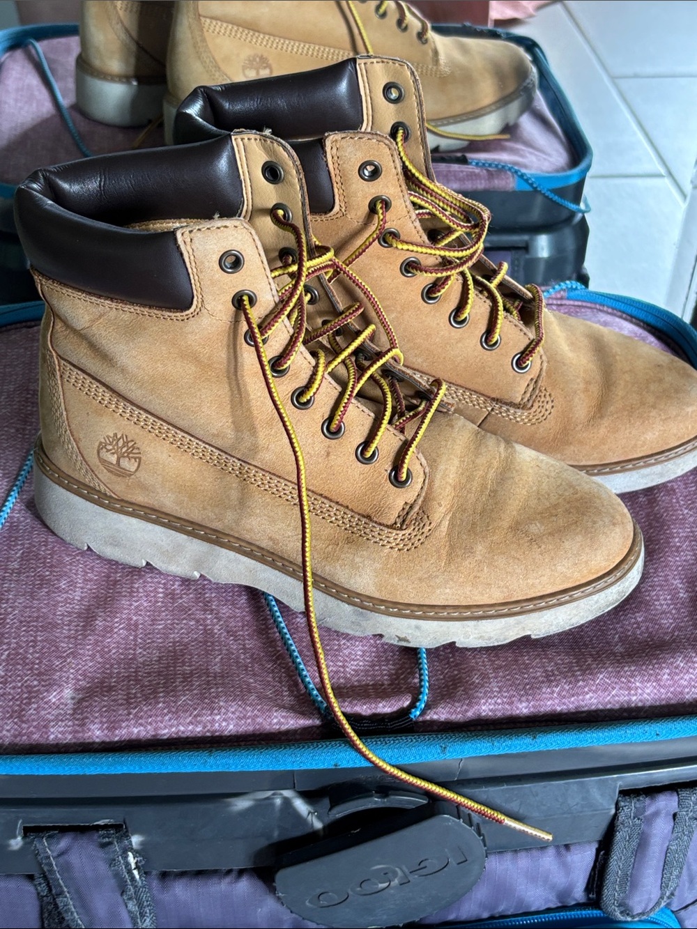Timberland Wheat Nubuck Boots with Dark Brown Collar